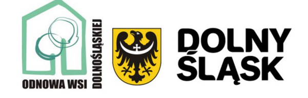 dslask