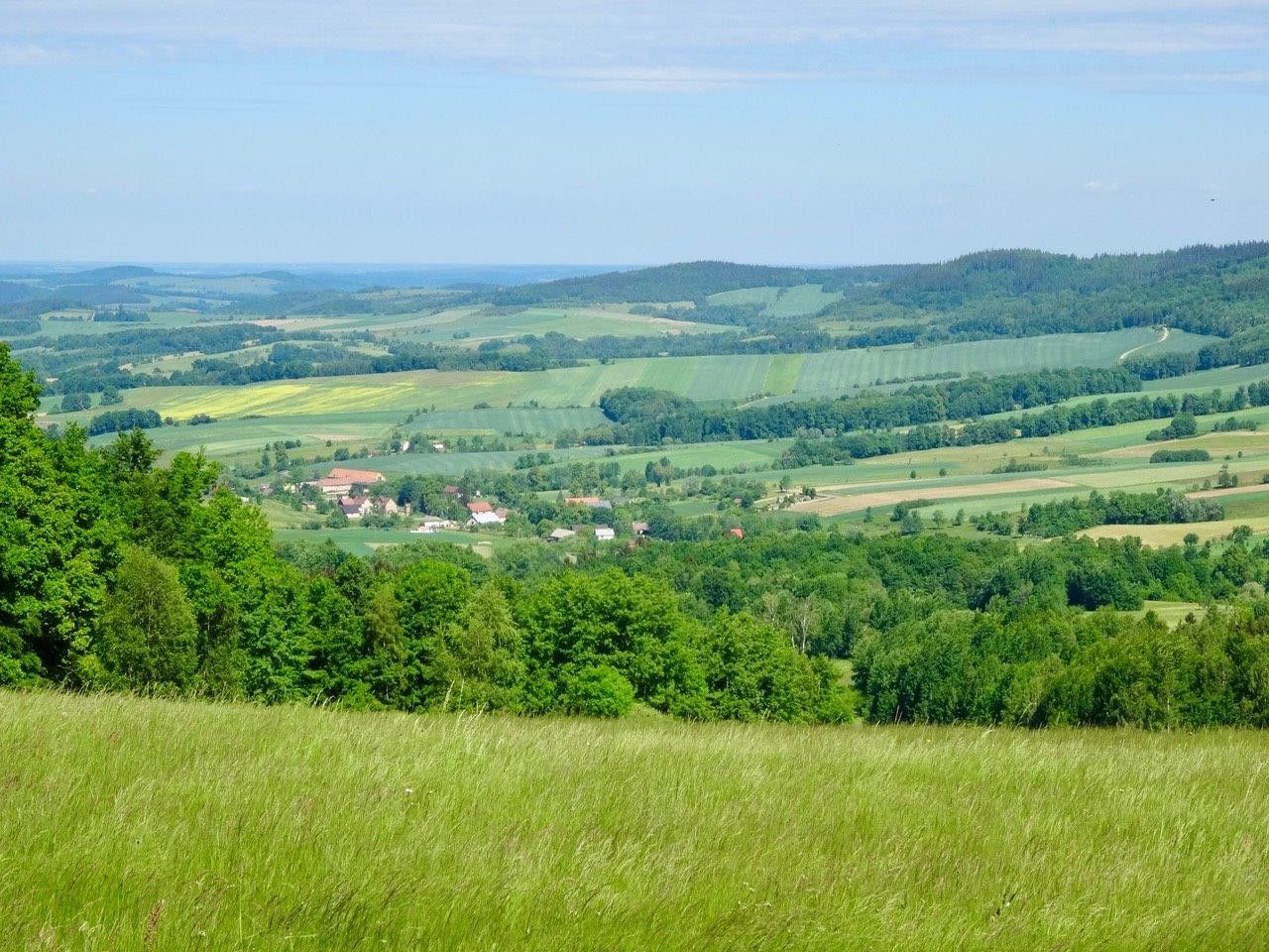 Ploszczynka    2 1954